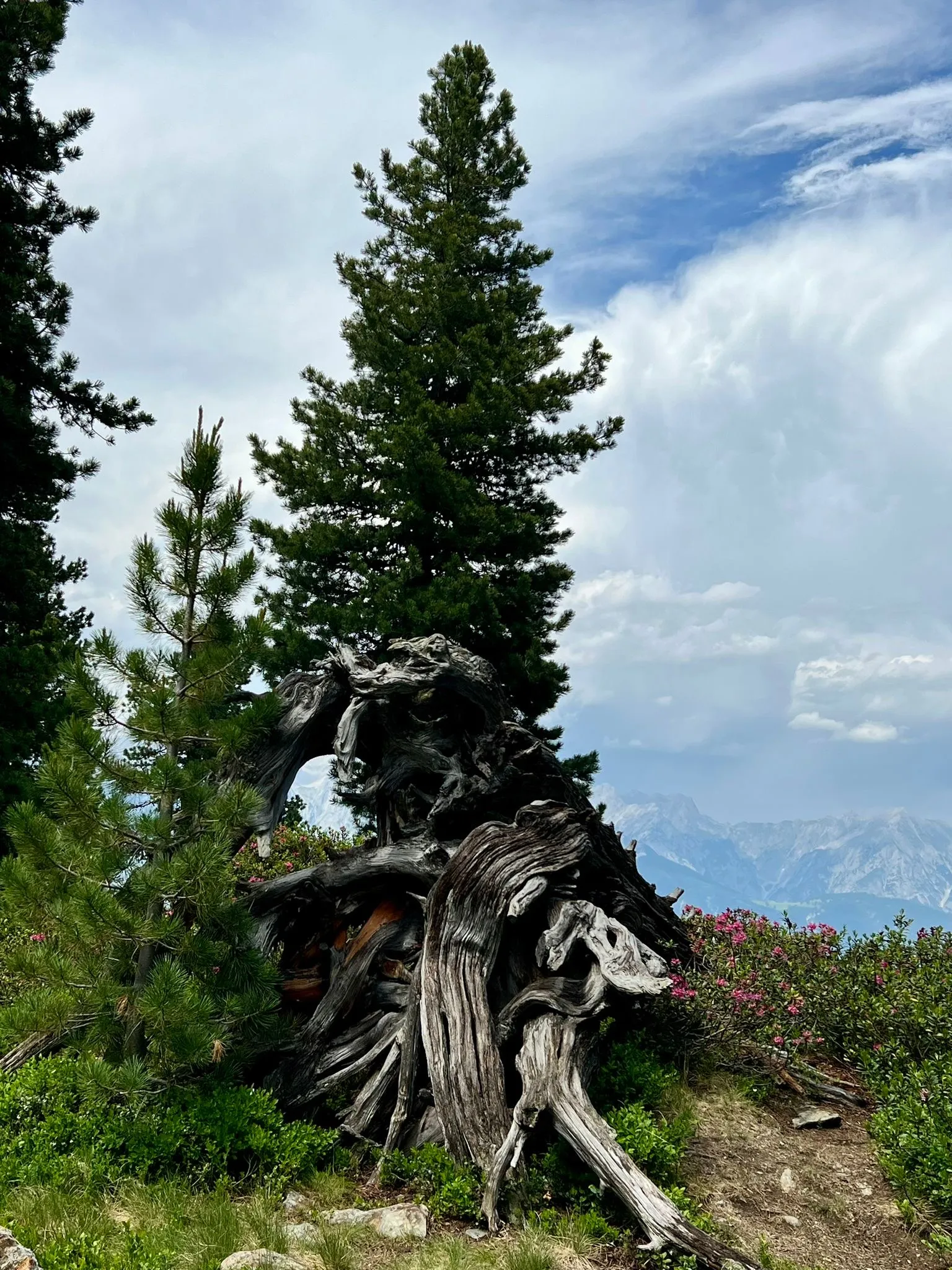 Villaroma Impression — Waldbaden