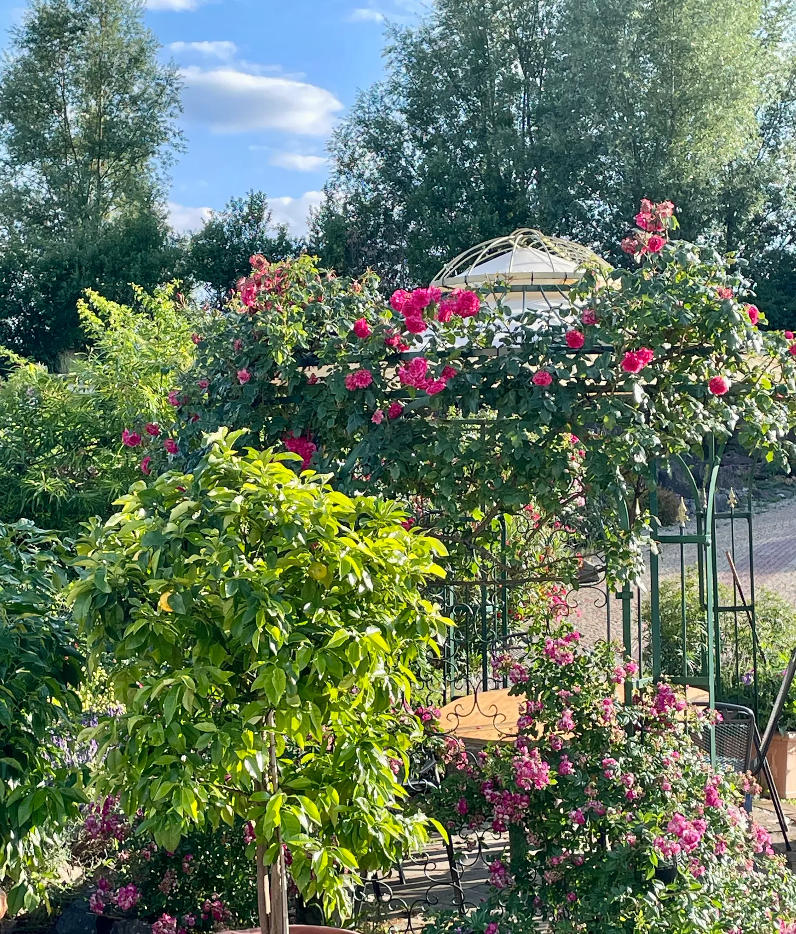 Villaroma Impression — Seminare