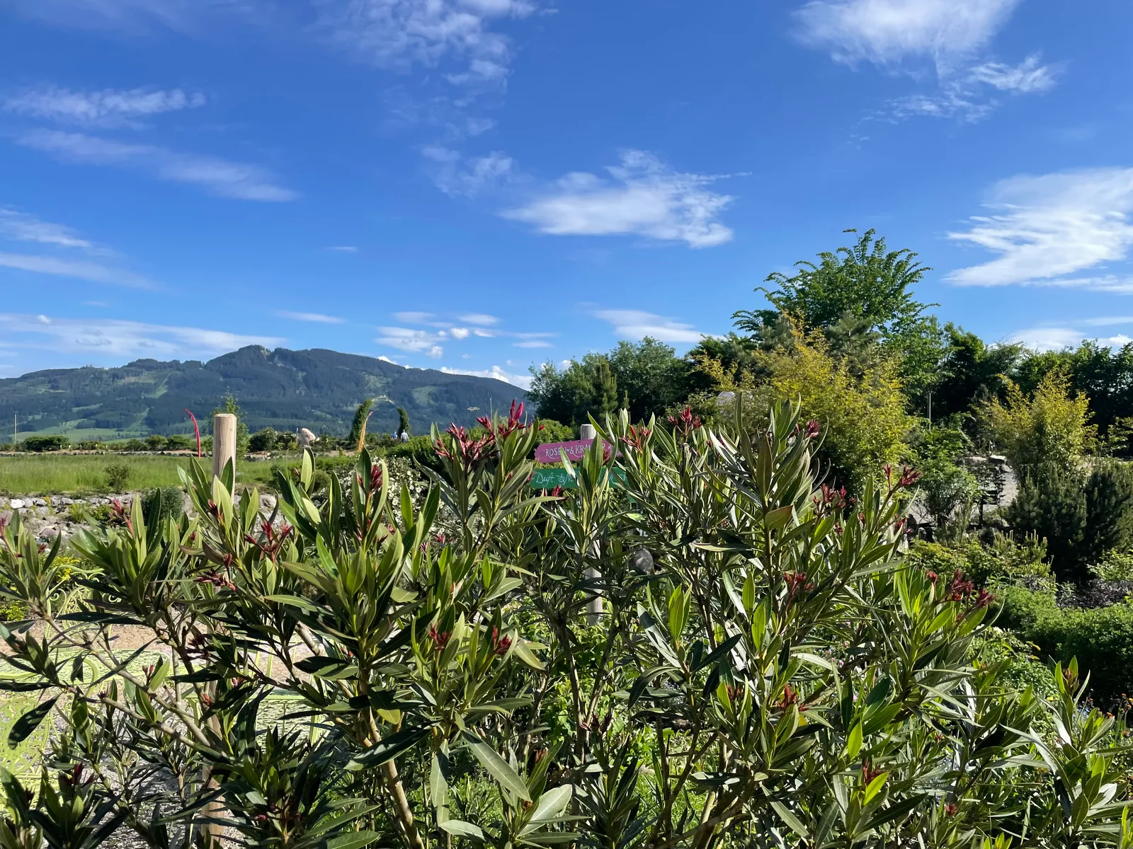 Villaroma Impression — Reisen & Exkursionen