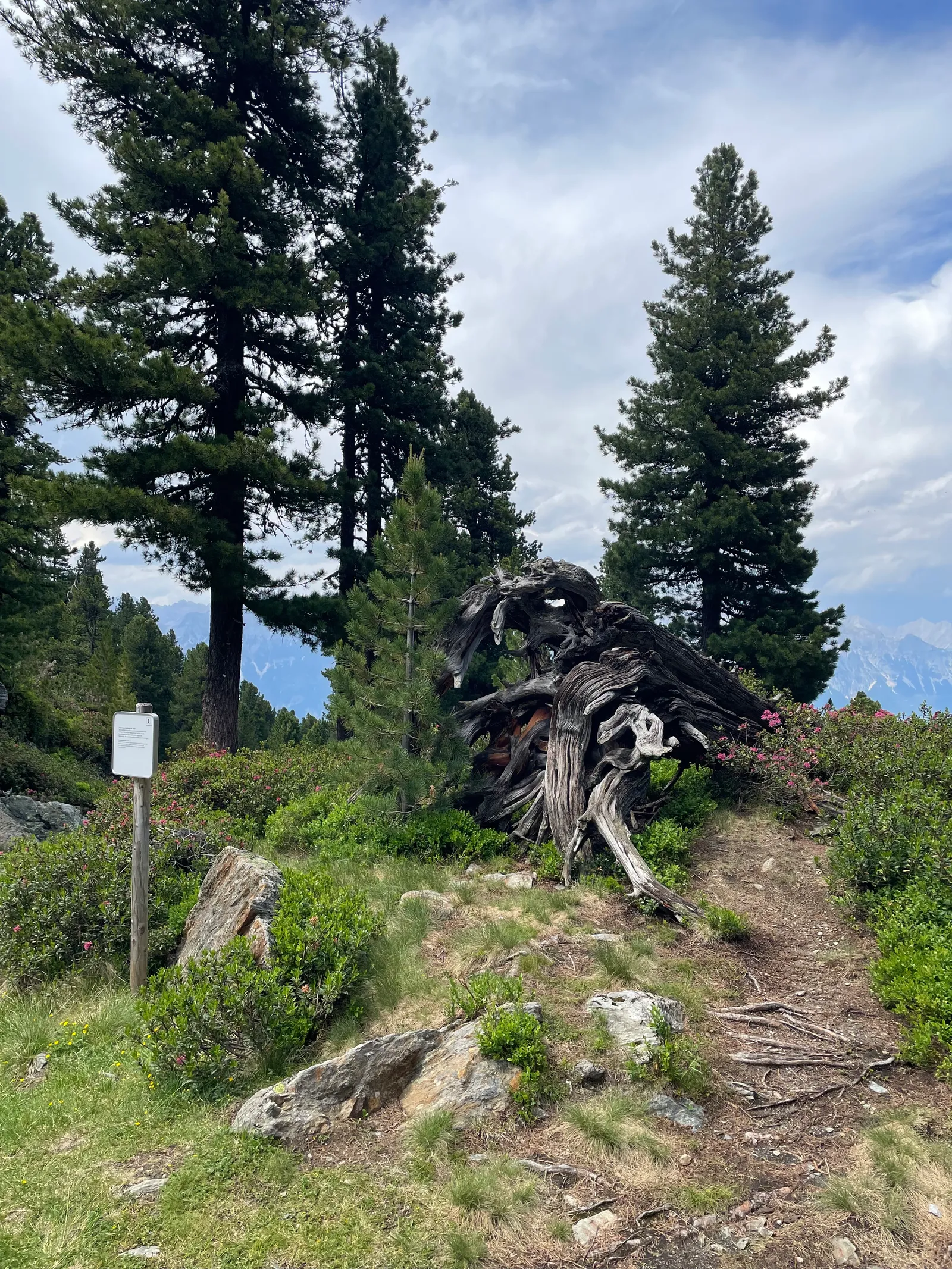 Villaroma Impression — Natur & Pflanzen