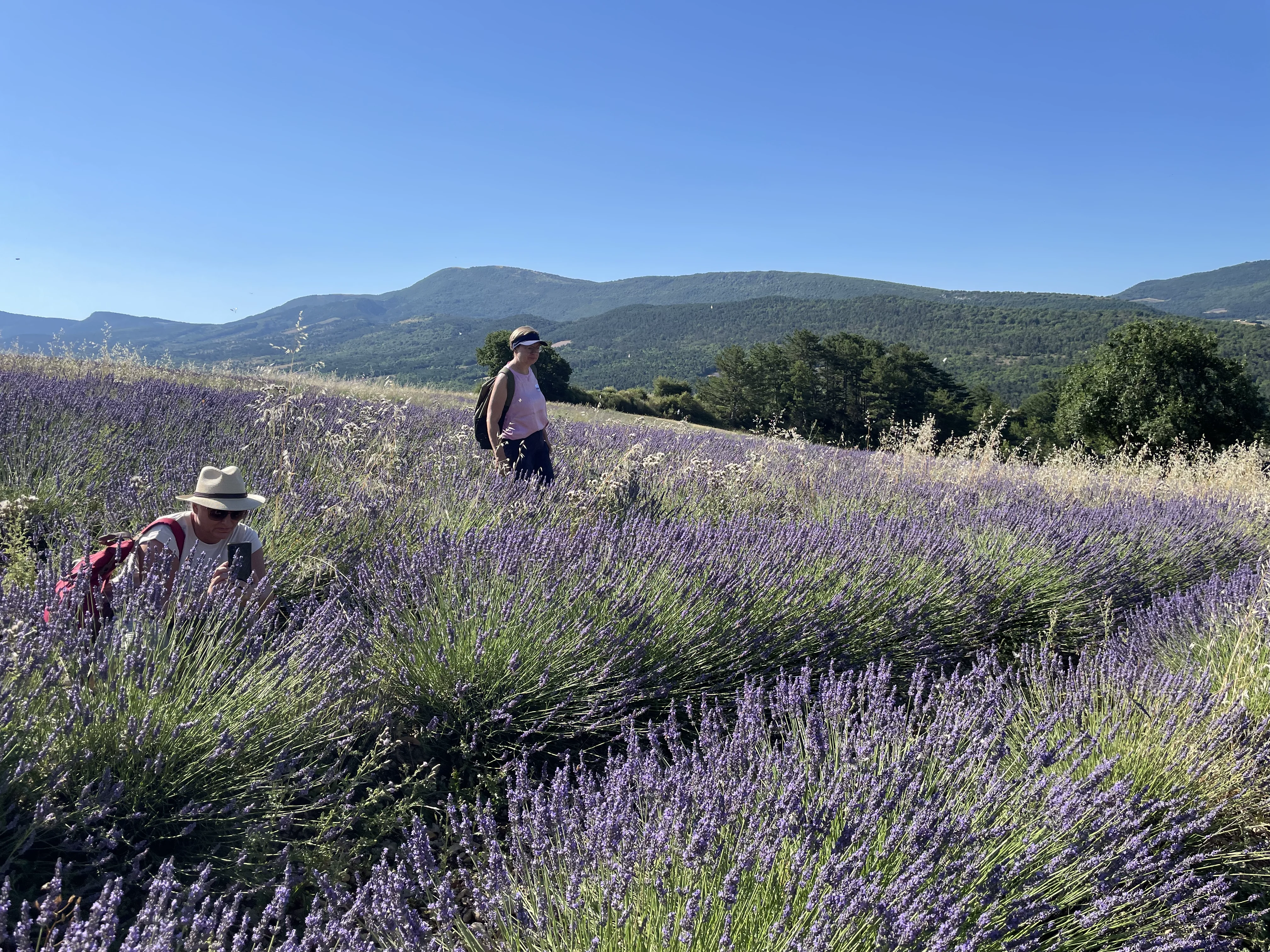 Villaroma Impression — Reisen & Exkursionen