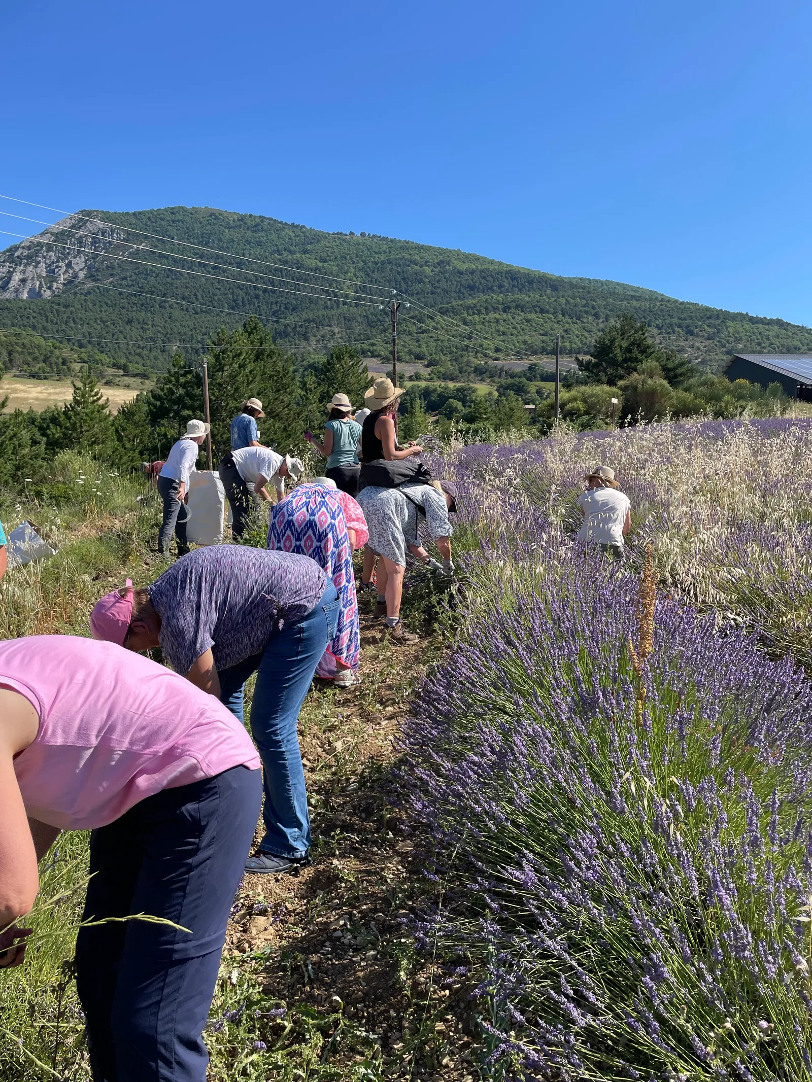 Villaroma Impression — Waldbaden