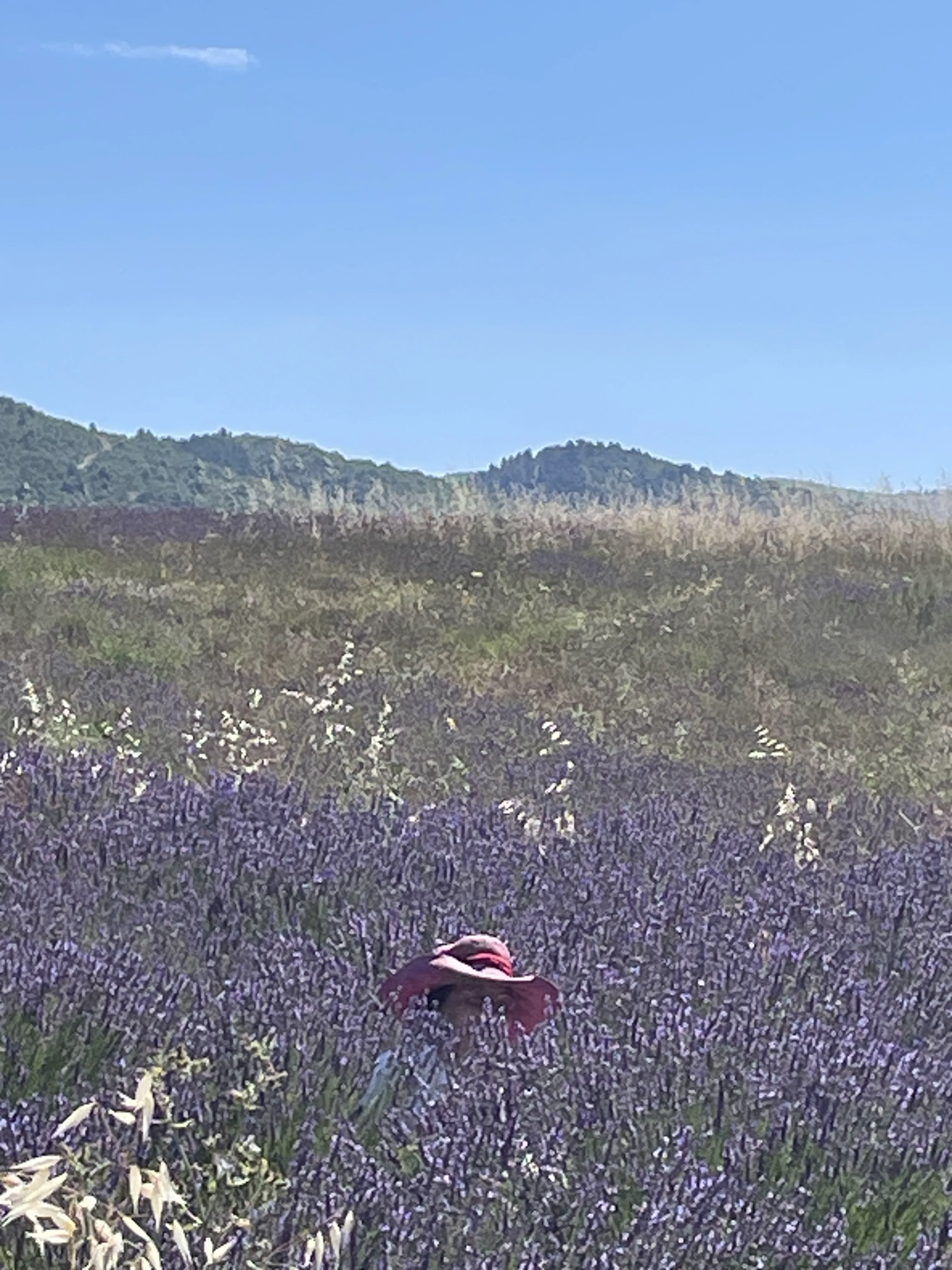 Villaroma Impression — Reisen & Exkursionen