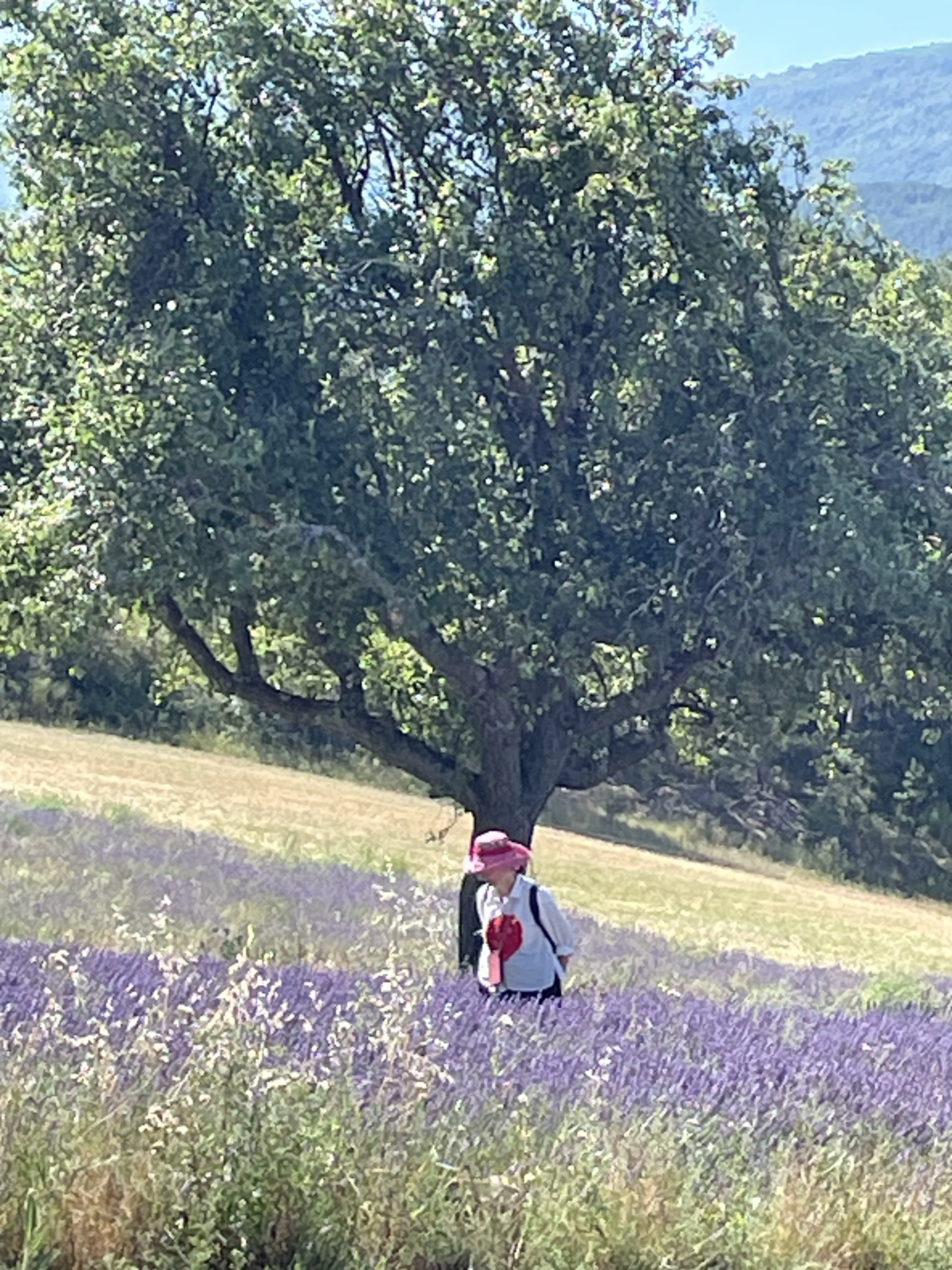 Villaroma Impression — Reisen & Exkursionen