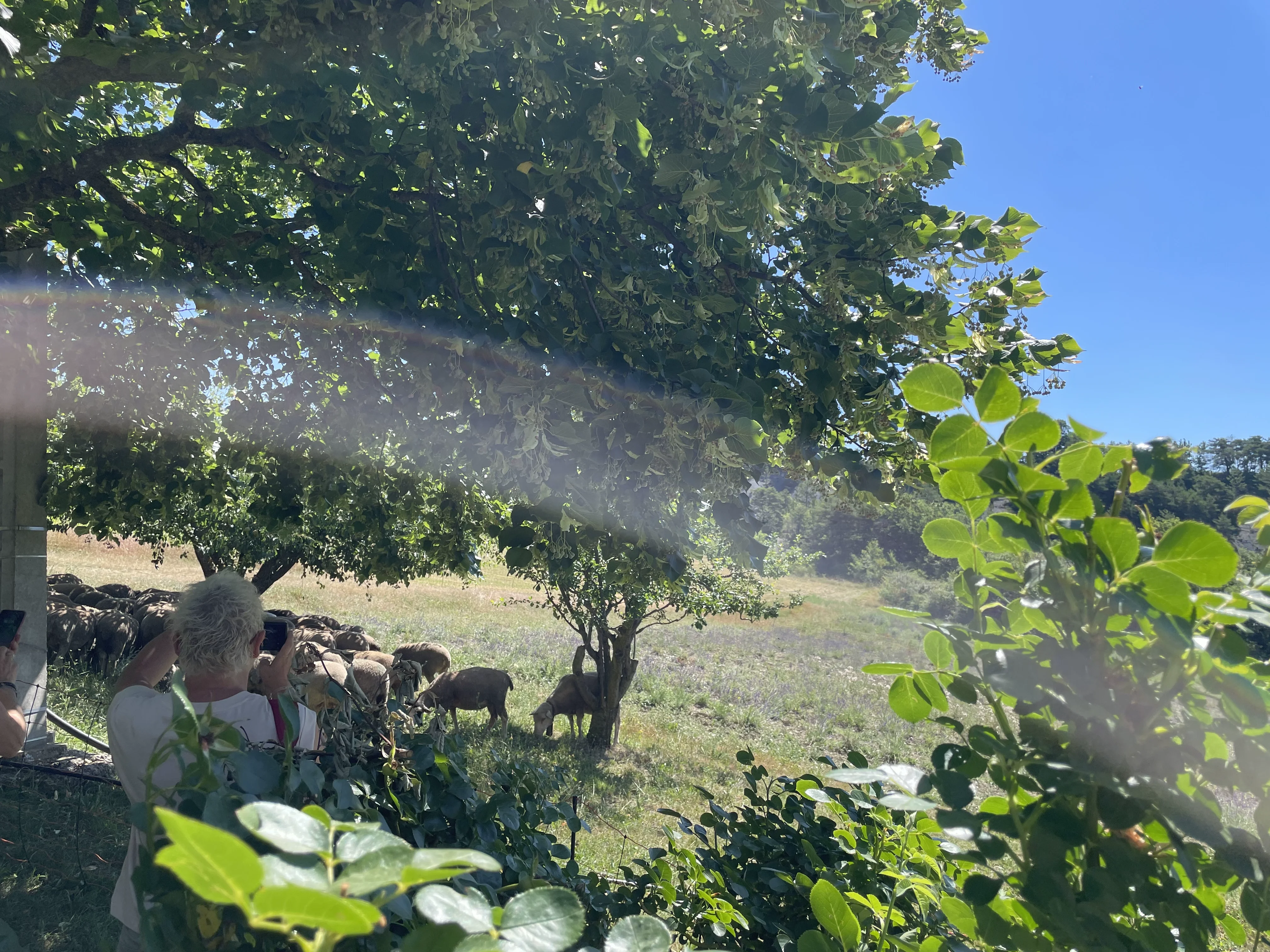 Villaroma Impression — Reisen & Exkursionen