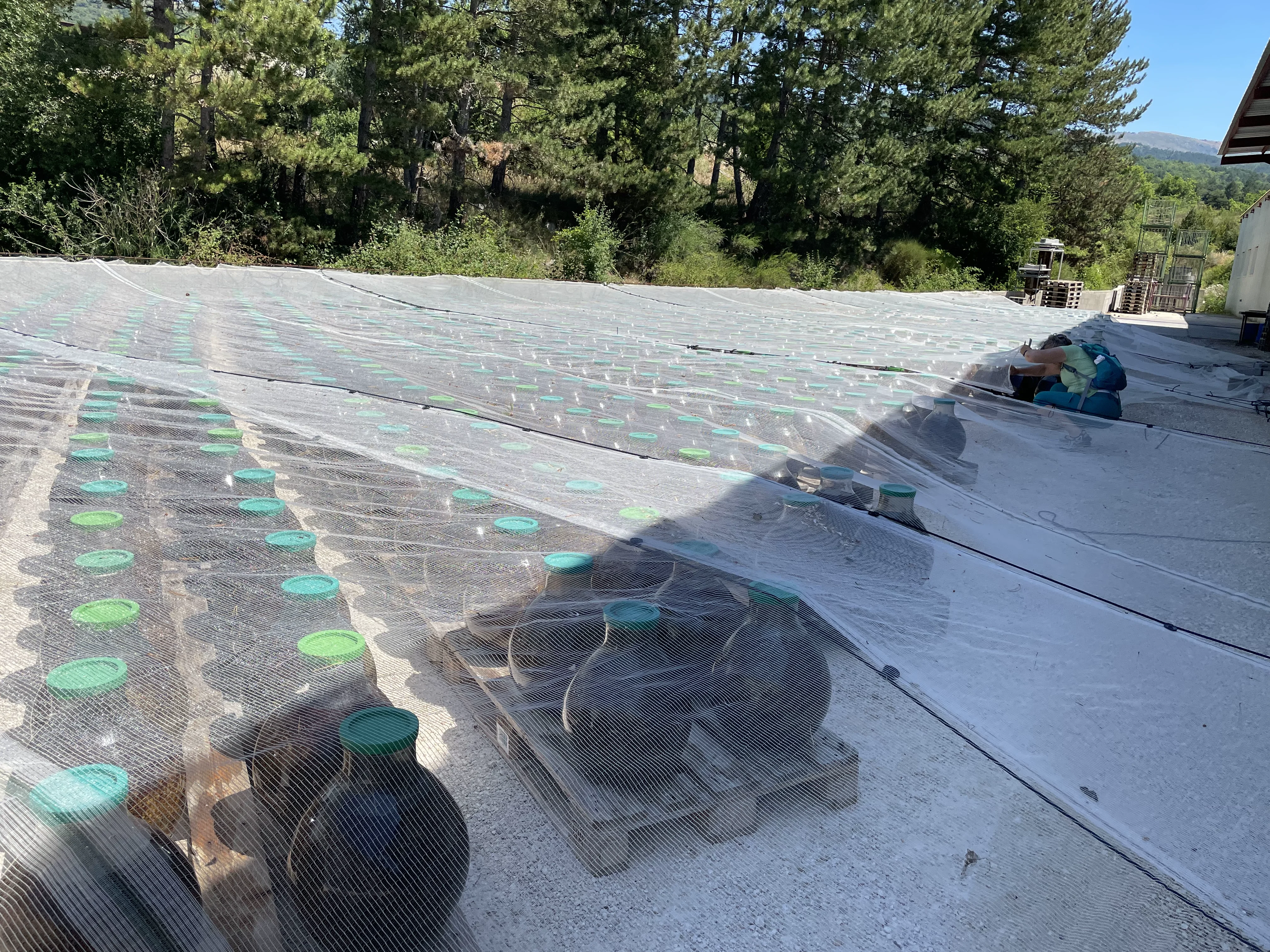 Villaroma Impression — Reisen & Exkursionen