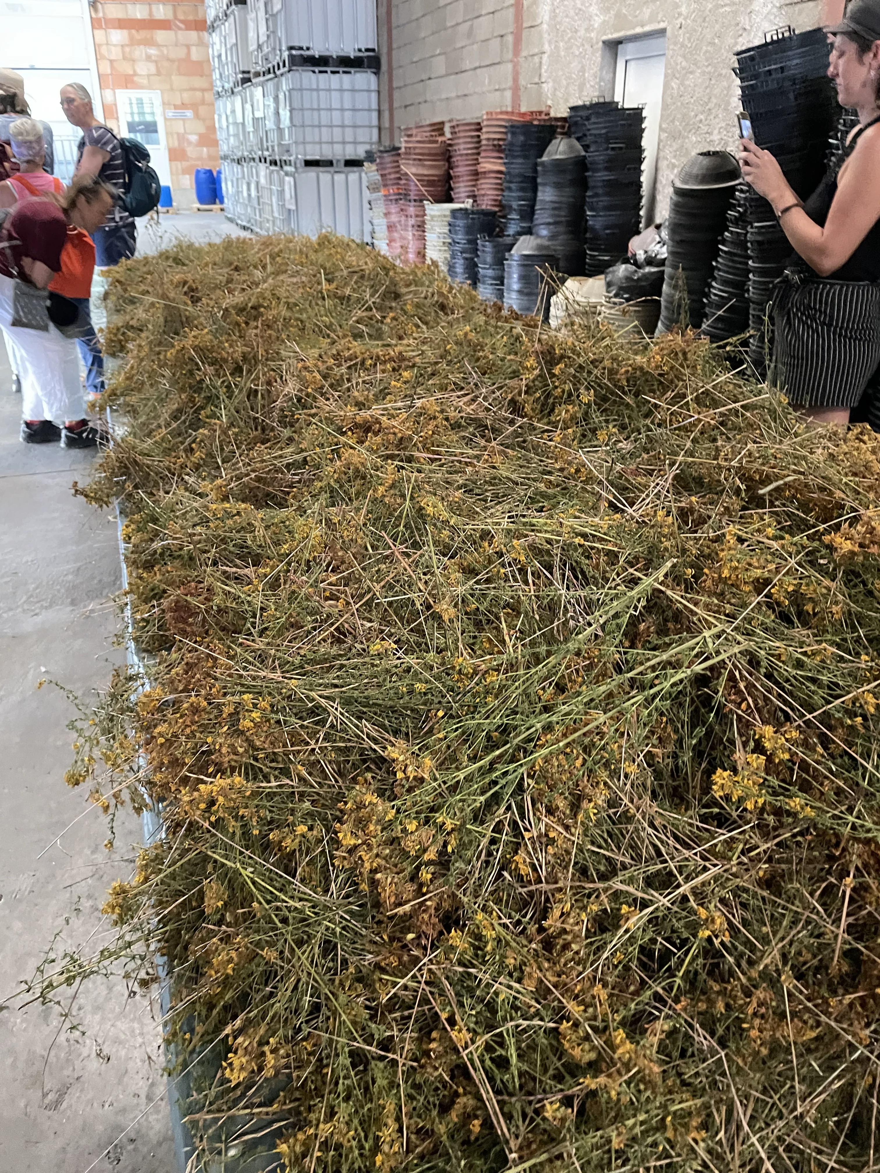 Villaroma Impression — Reisen & Exkursionen