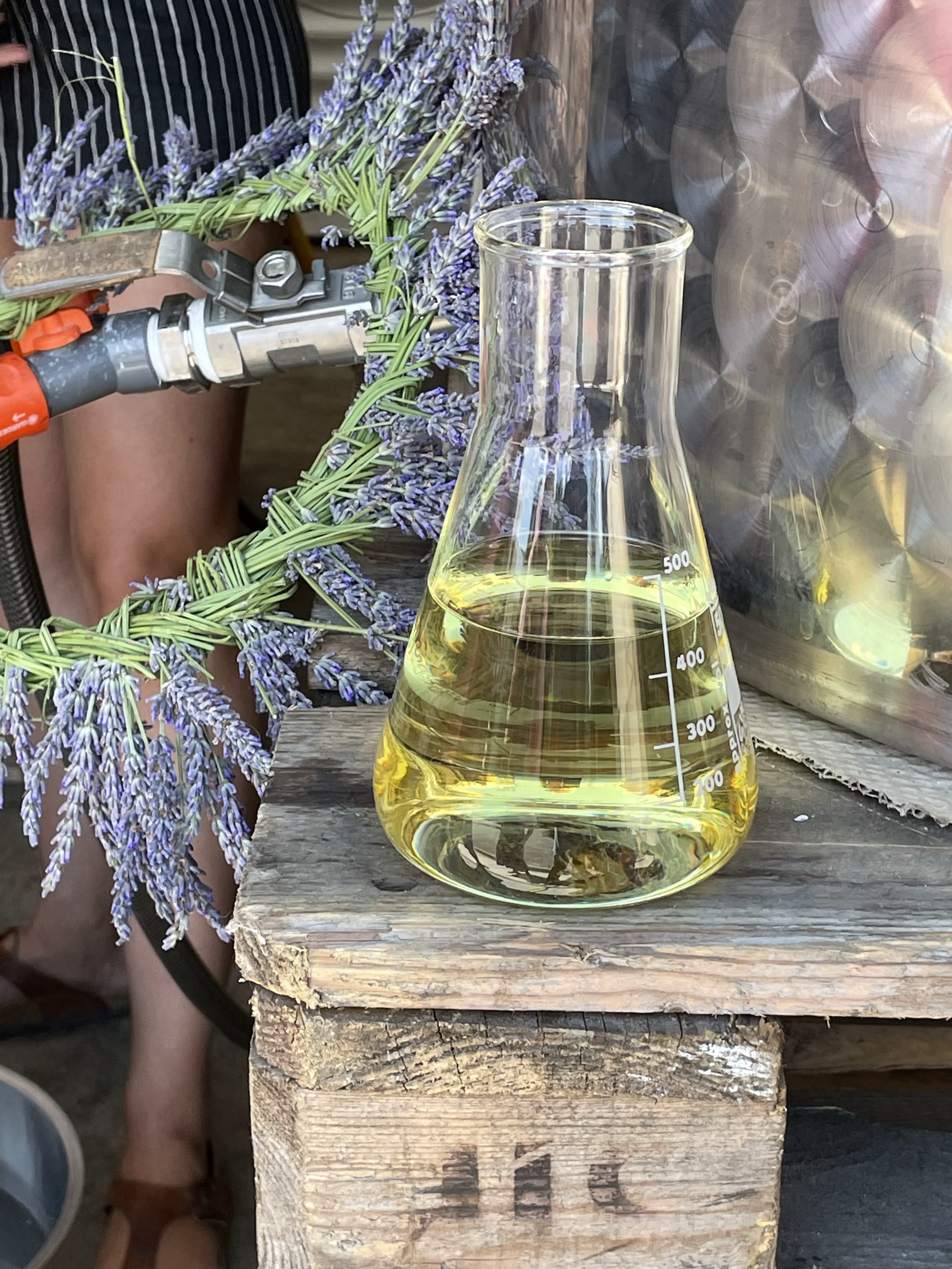 Villaroma Impression — Natur & Pflanzen