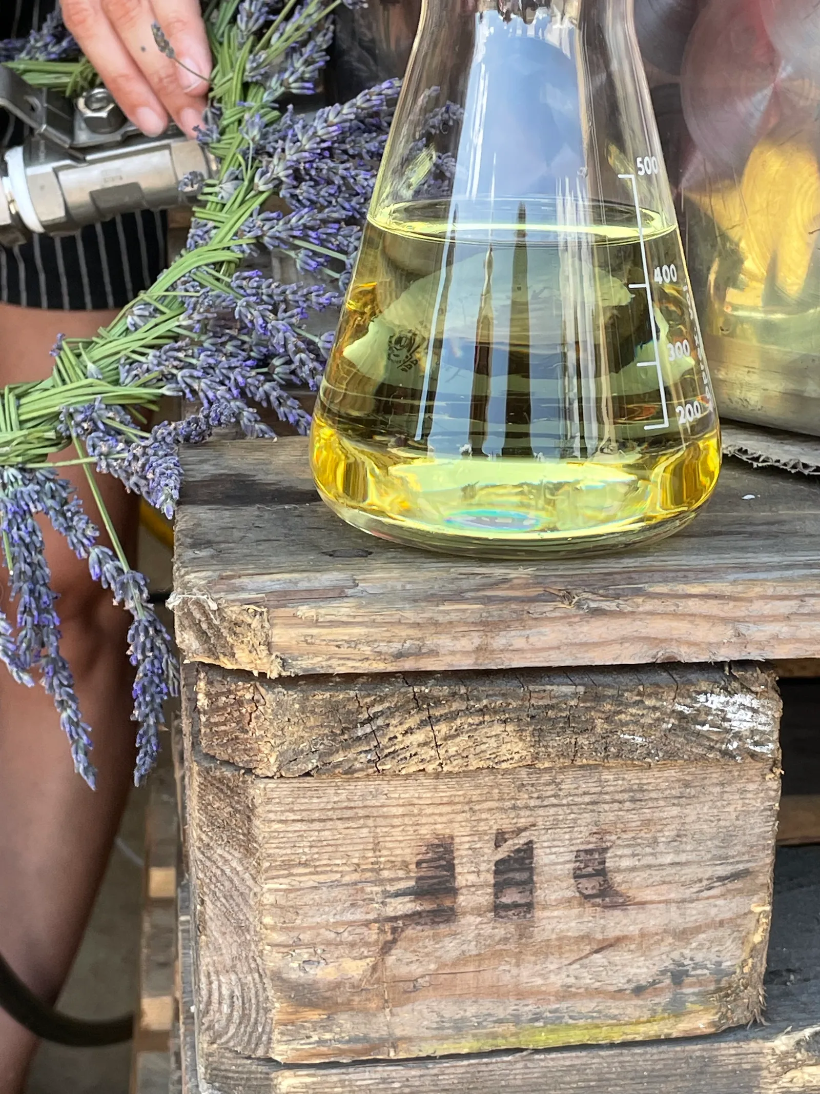 Villaroma Impression — Natur & Pflanzen