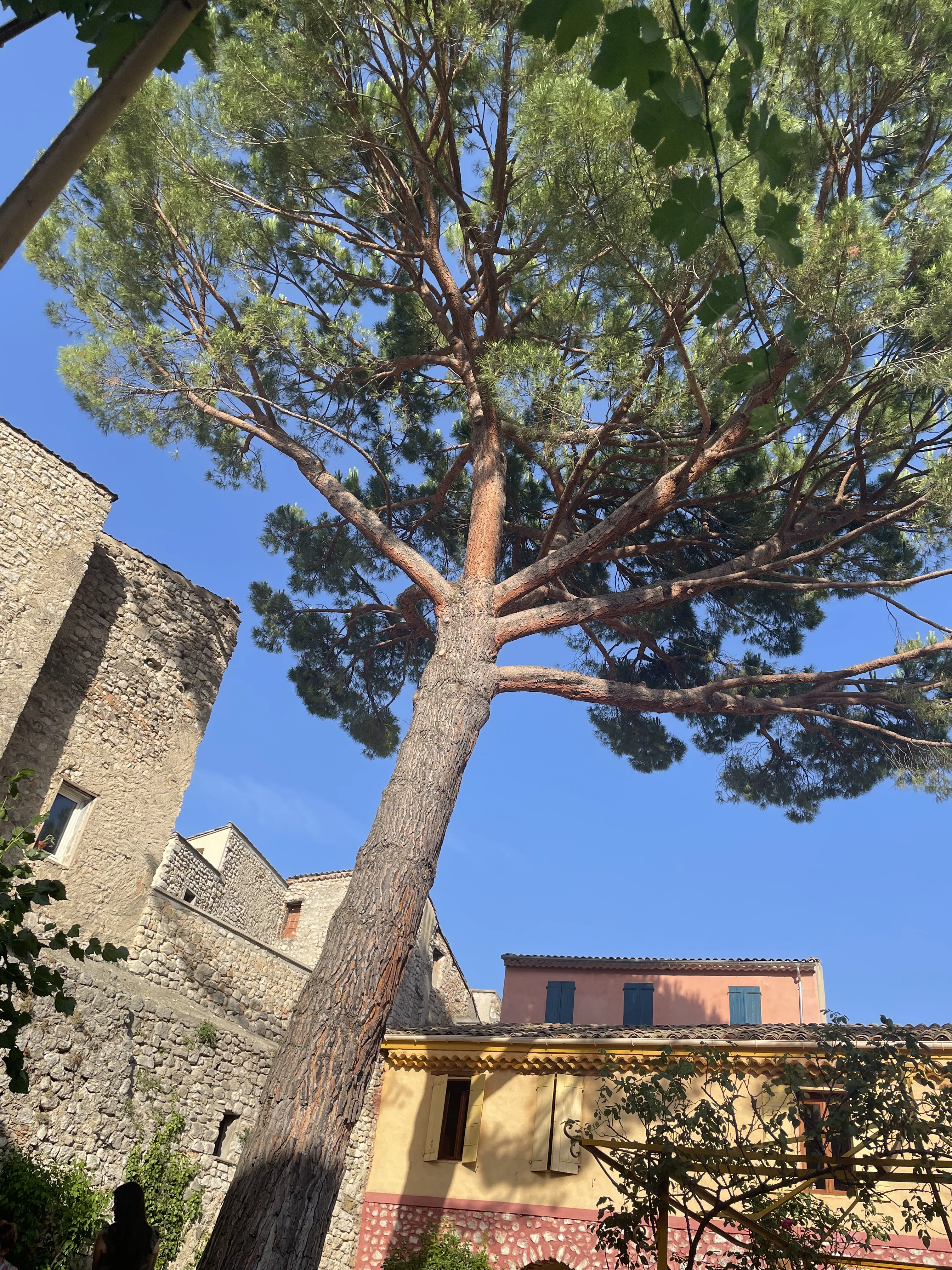 Villaroma Impression — Reisen & Exkursionen