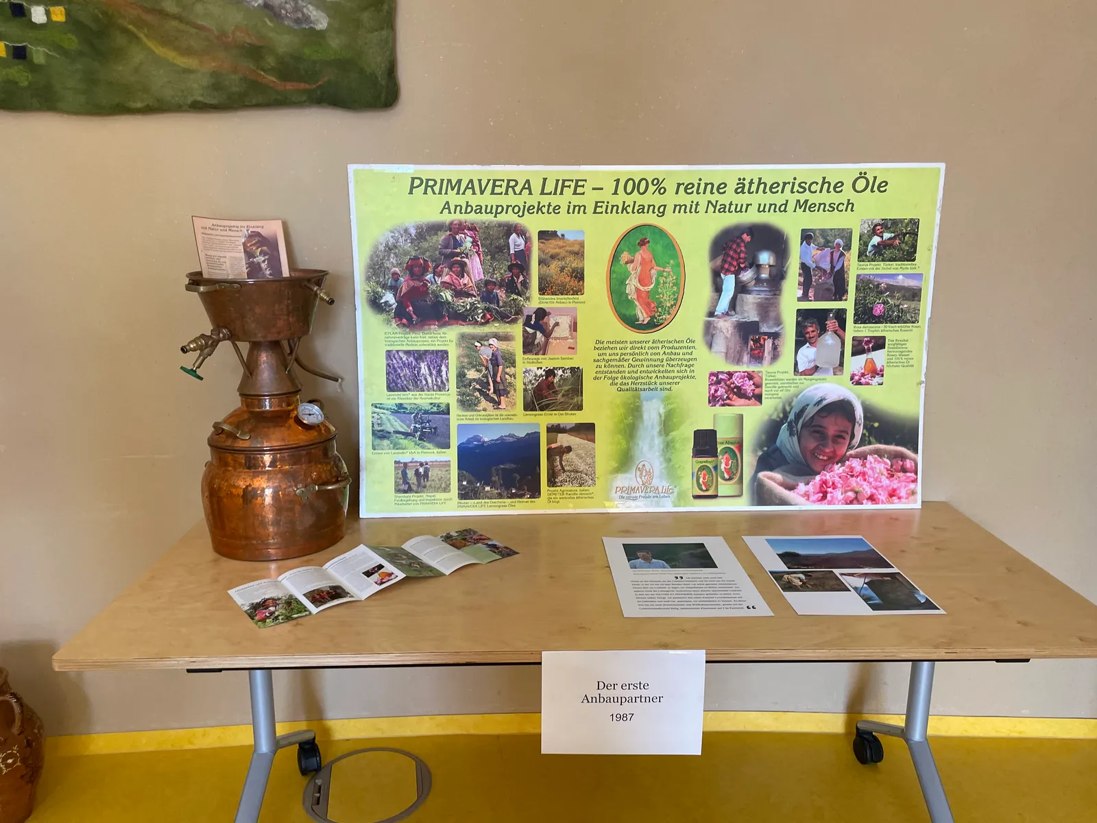 Villaroma Impression — Reisen & Exkursionen