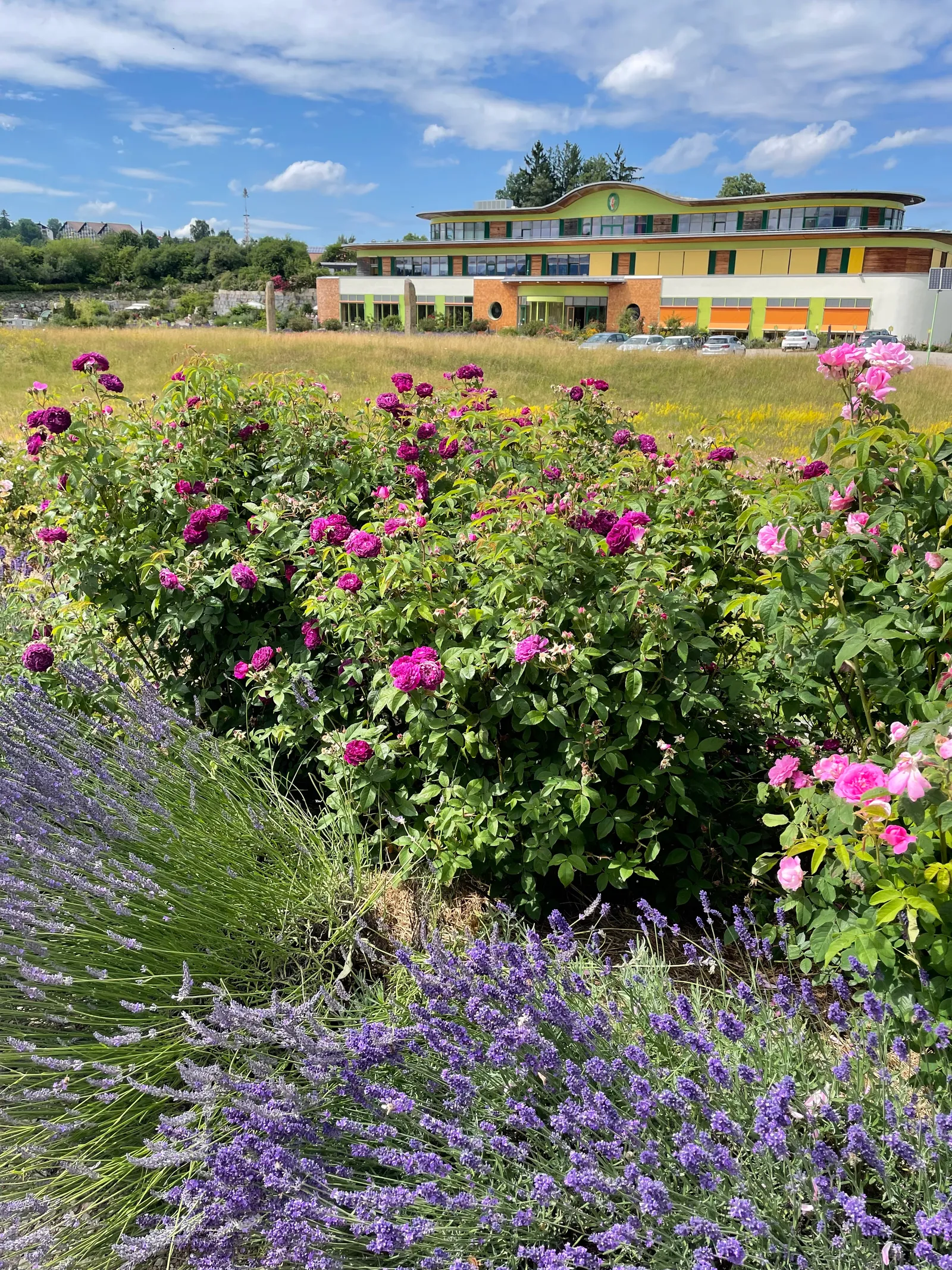 Villaroma Impression — Natur & Pflanzen