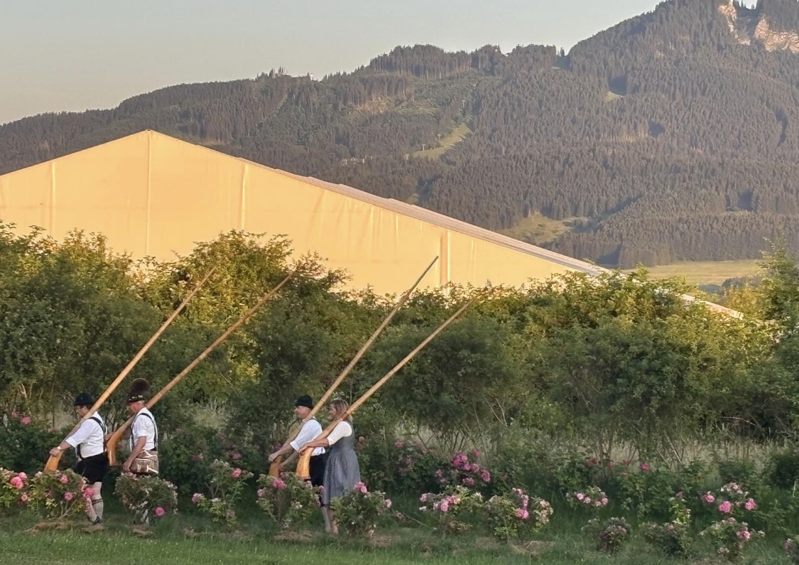 Rosenfest Eindruck 10