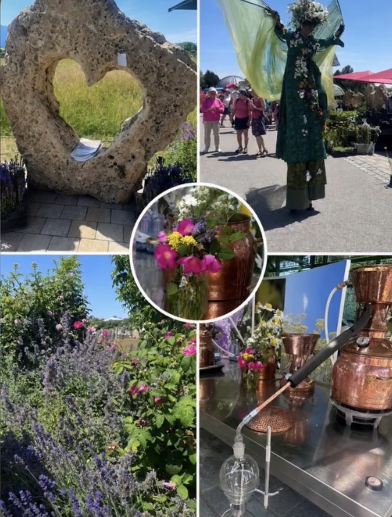Rosenfest Eindruck 16
